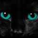 Avatar gebruiker