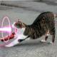 Avatar gebruiker