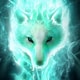 Avatar gebruiker