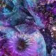 Avatar gebruiker