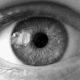 Avatar gebruiker