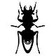 Avatar gebruiker
